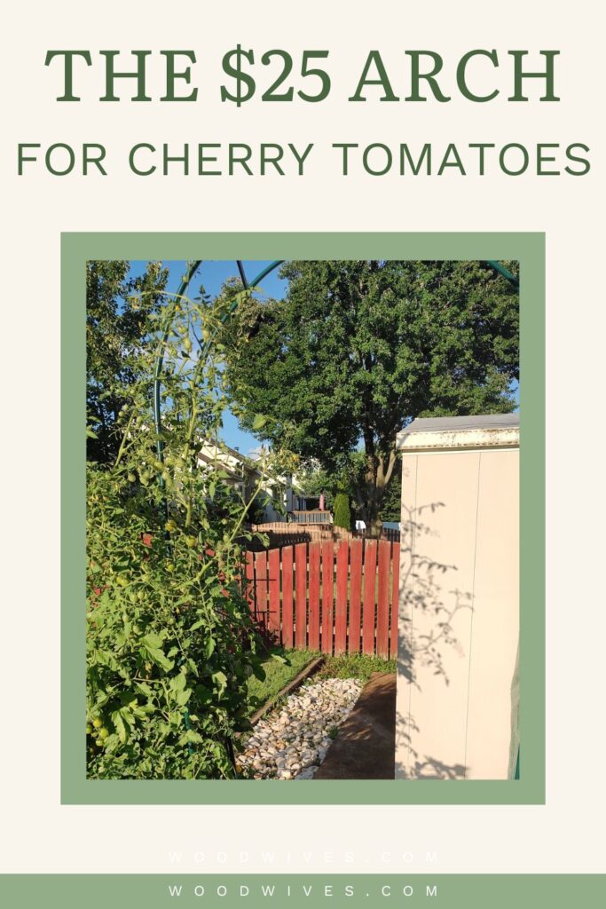 cherry tomato garden arch photo with the text, "The $25 garden arch for cherry tomatoes"