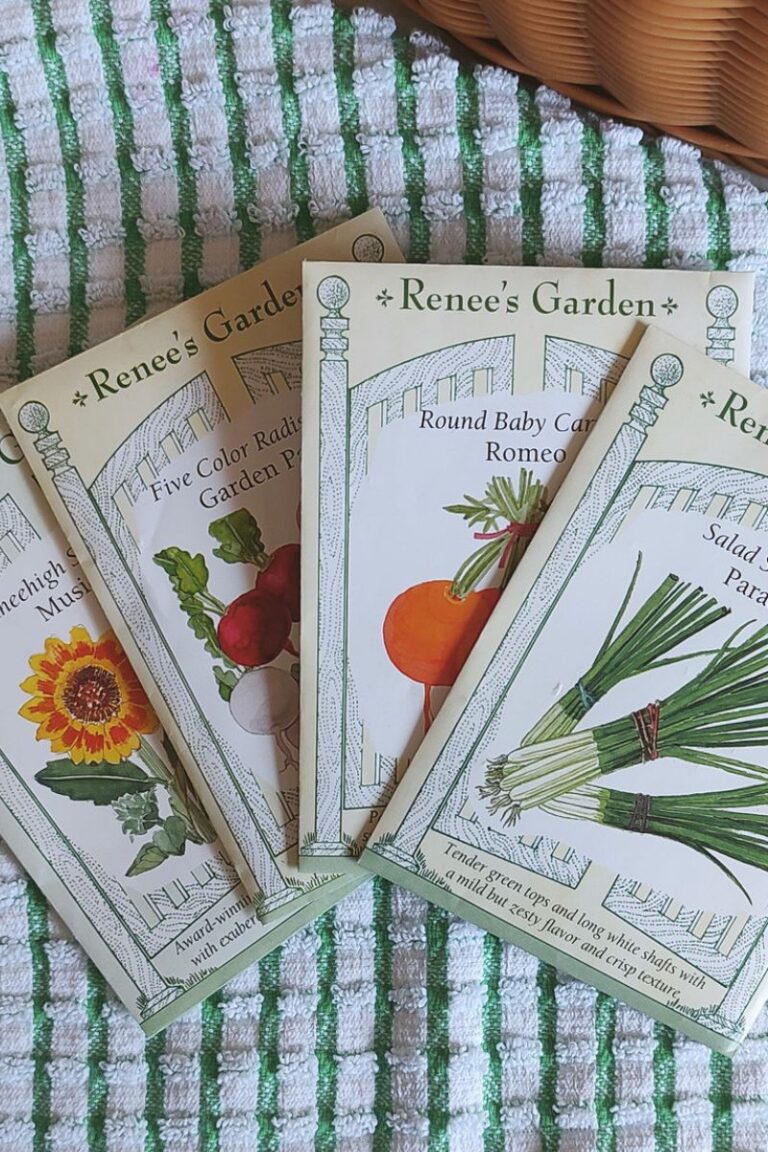 Seeds to help you plan the fall garden